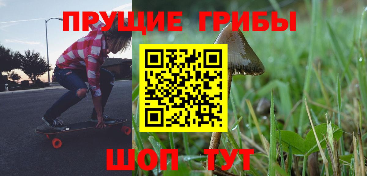 Галлюциногенные грибы Psilocybine cubensis  Вход с VPN  Зима  Галлюциногенные грибы GOLDEN TEACHER 