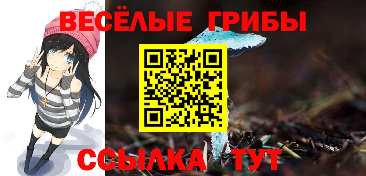 Псилоцибиновые грибы MAGIC MUSHROOMS Зима